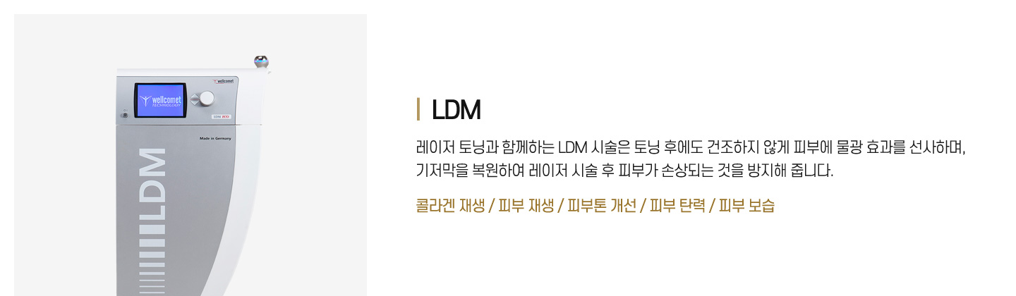 LDM : 콜라겐 재생/피부 재생/피부톤 개선/피부 보습