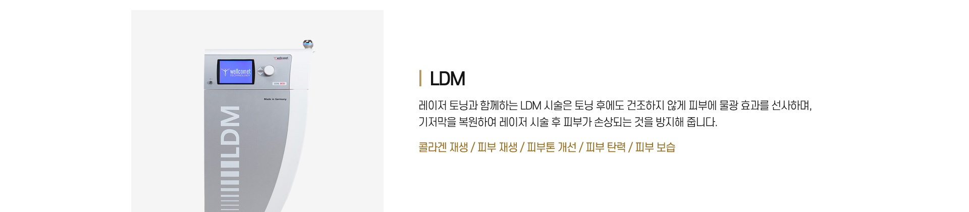 LDM : 콜라겐 재생/피부 재생/피부톤 개선/피부 보습